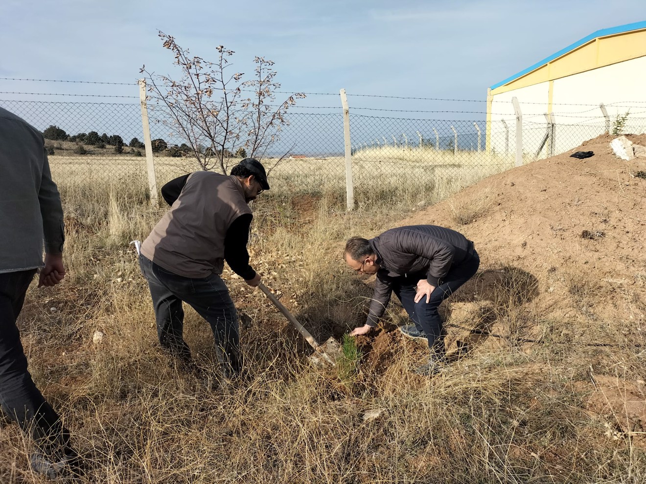 Her Çalışan Bir Fidan